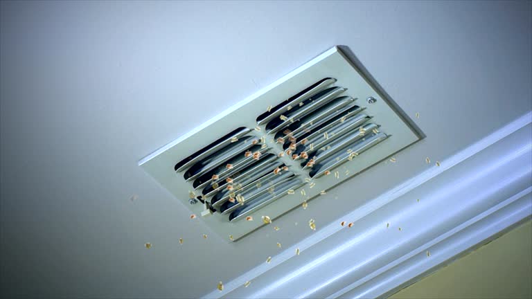 Best Air Duct Sanitizing Services  in Laurinburg, NC